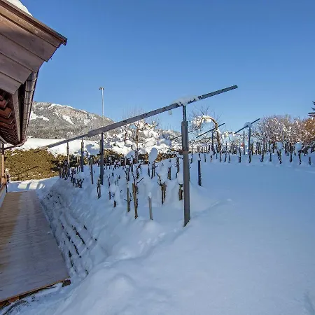 Cozy In St Johann In Tyrol
