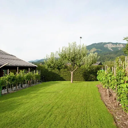 Cozy In St Johann In Tyrol *